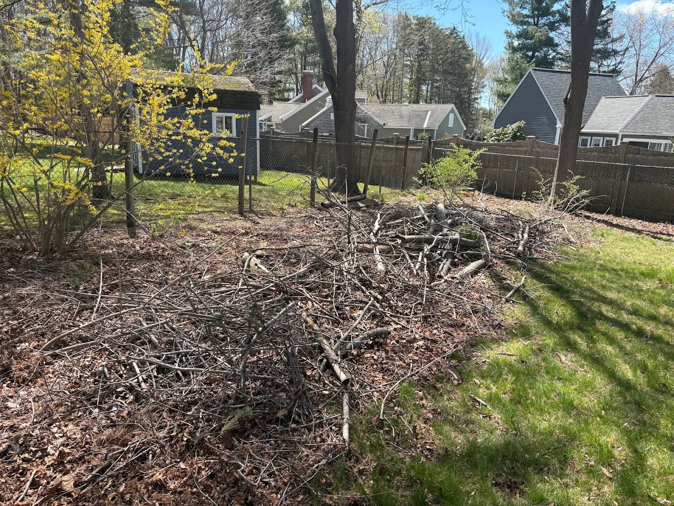 Yard and Brush Removal